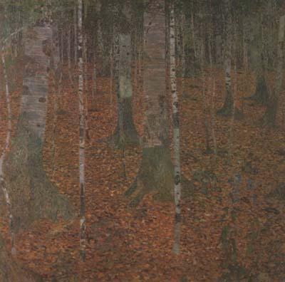 Gustav Klimt Birch Wood (mk20) Germany oil painting art